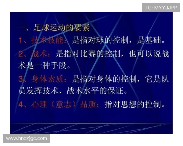 南京足球队反击战术解析与球队未来发展展望